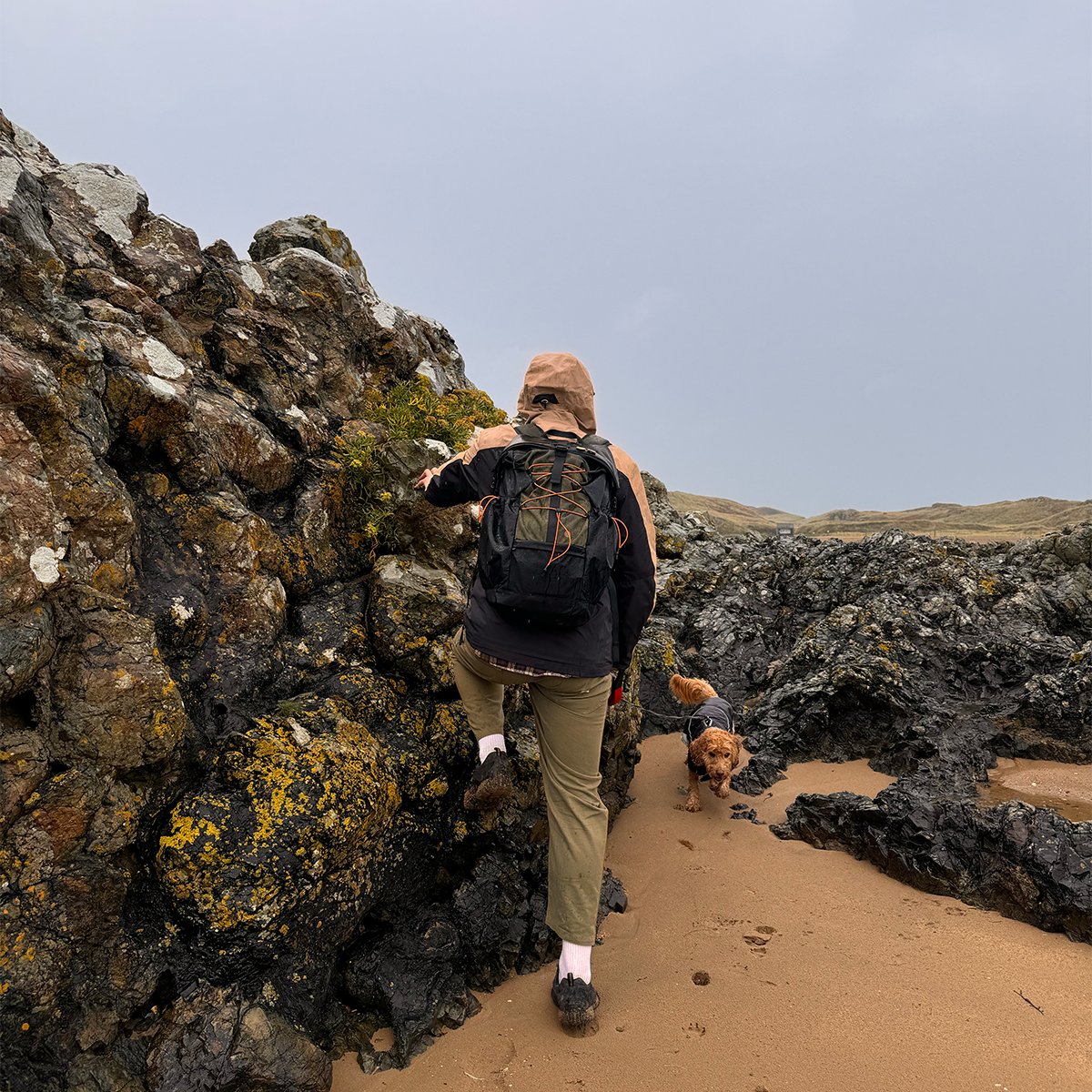 Staff Picks: A Trip to North Wales