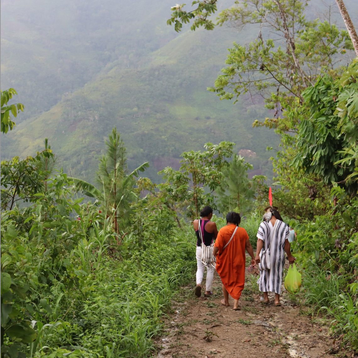 One Home Forever | Cool Earth