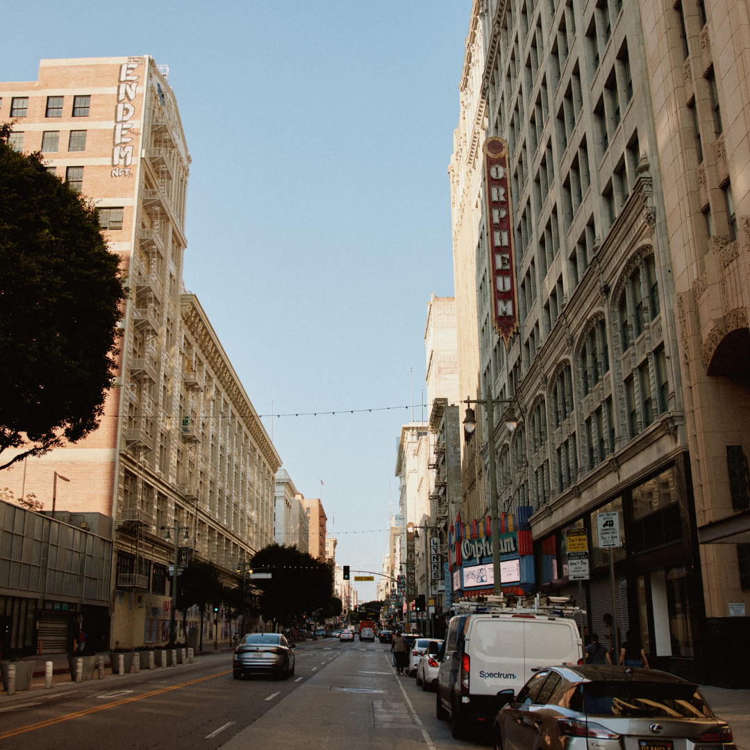 Grit & Glory: Autumn Layers Built for the City