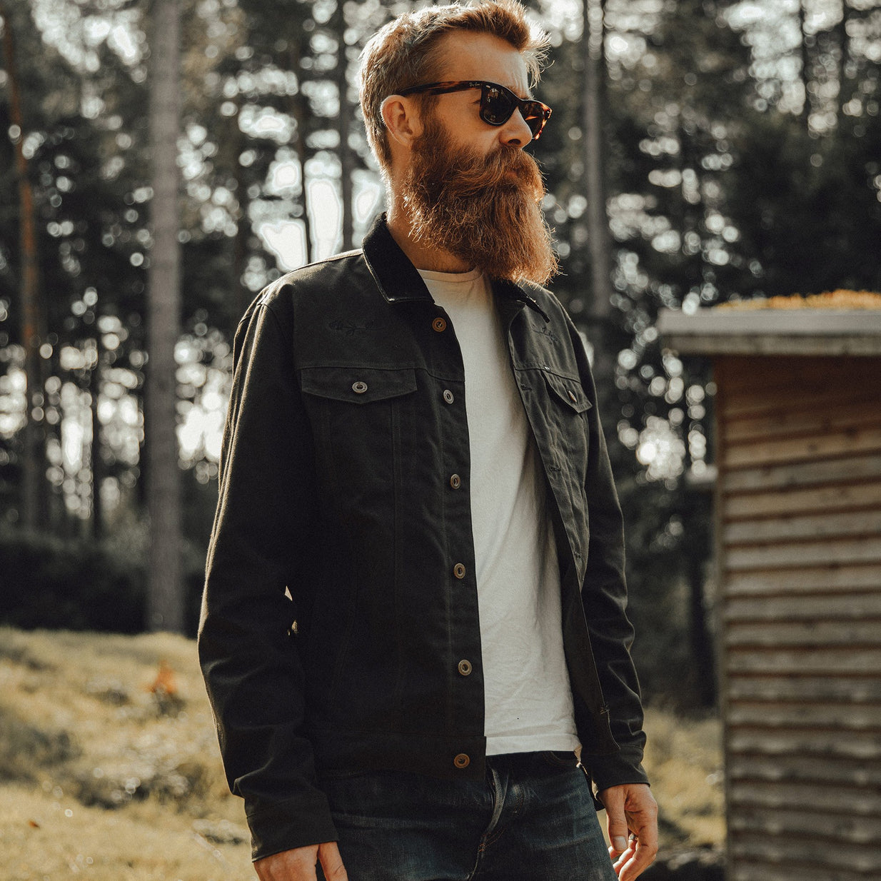 P&Co New Autumn Collection