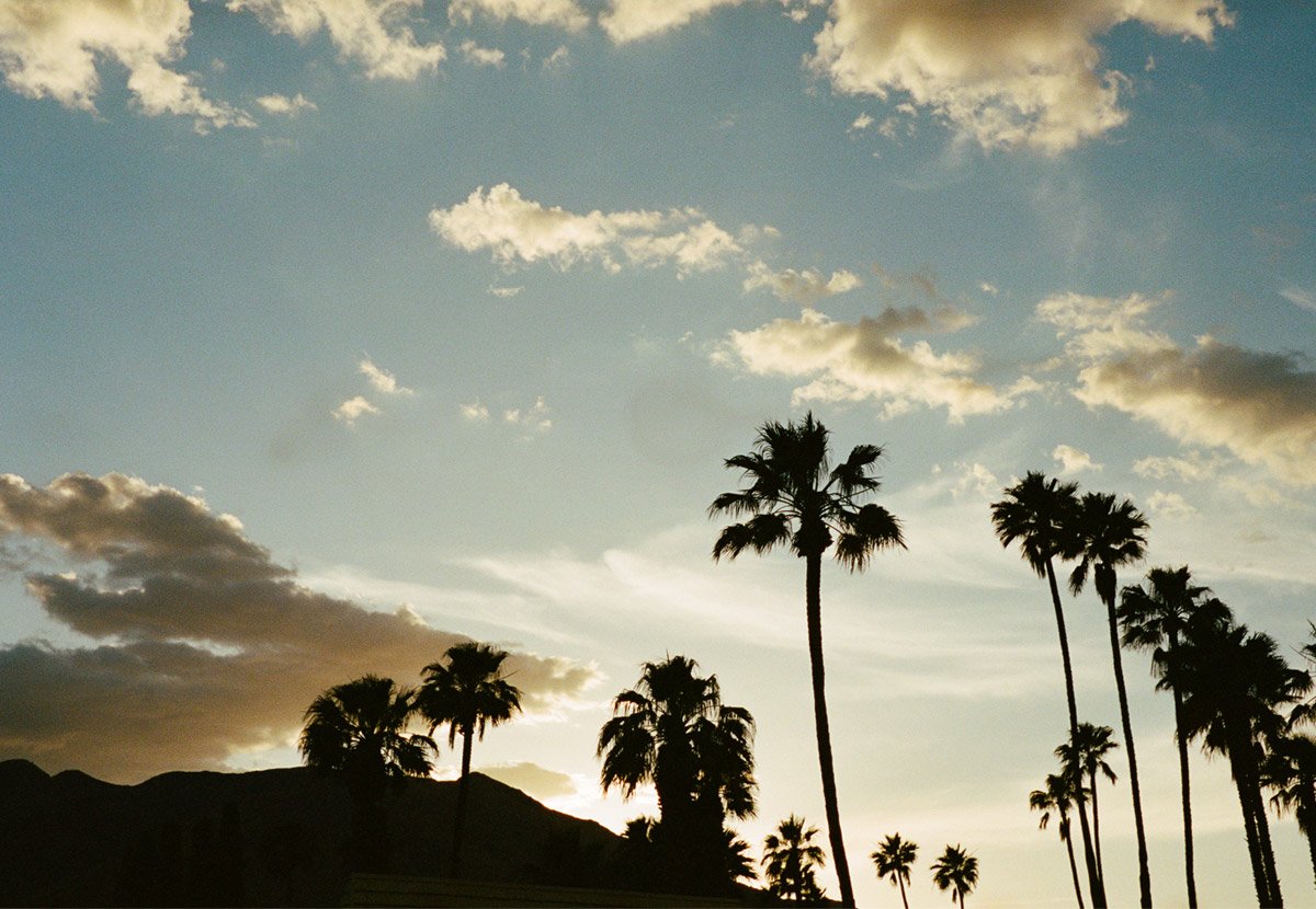 P&Co x Lomography