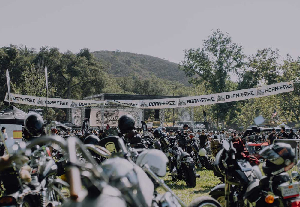 BORN FREE 10 & P&Co - A Mindset For Purposeful Living