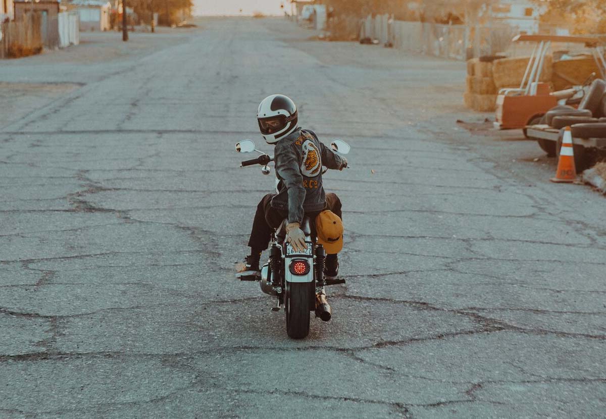 THE PROVISION TIGER JACKET