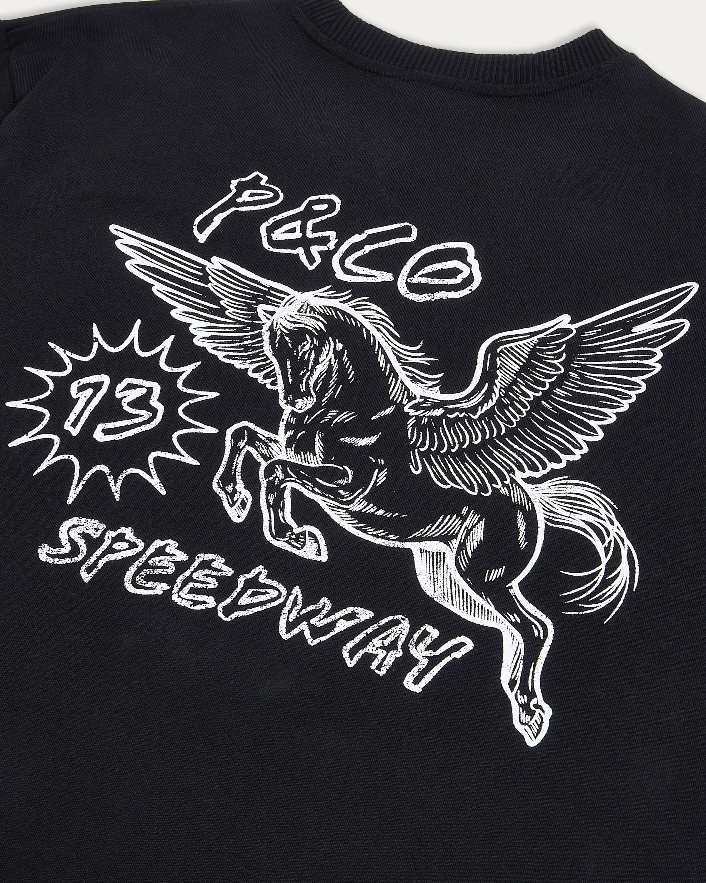 Pegasus Speedway Boxy T-Shirt - Washed Black